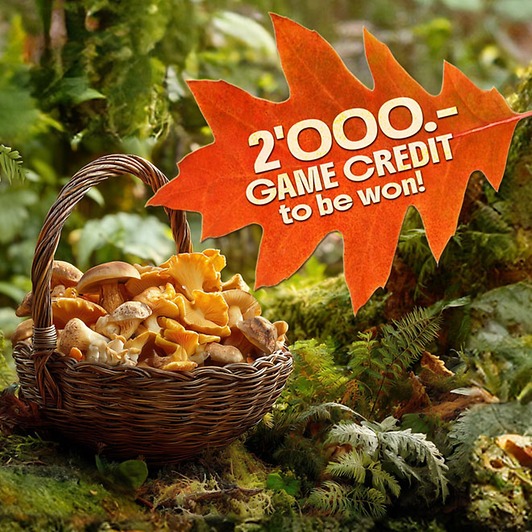 Draw - basket full with delicious mushrooms